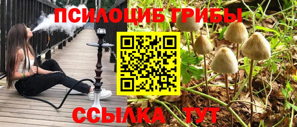 Галлюциногенные грибы Cubensis  Вход с VPN  как найти   Переславль-Залесский 